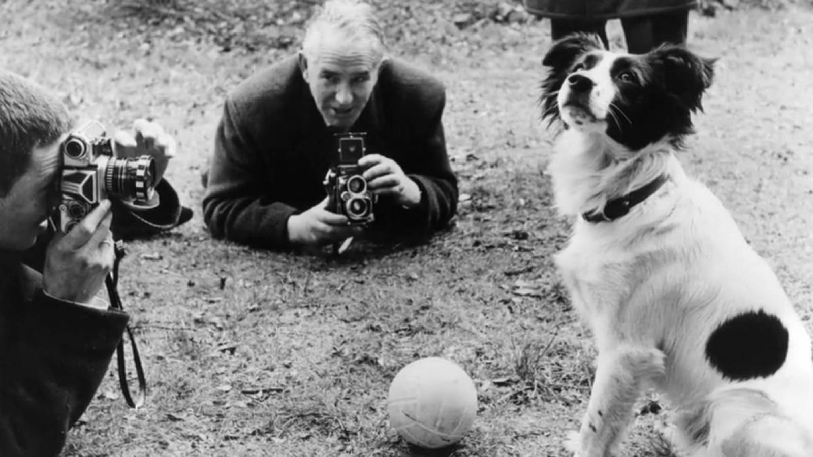 Imagen Pickles, el héroe inesperado que recuperó la Copa Jules Rimet