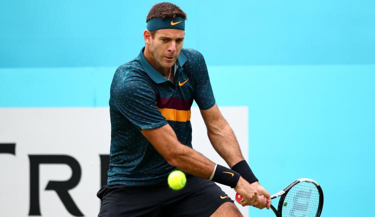 Imagen de DEL POTRO, CON LOS JUEGOS ENTRE CEJA Y CEJA: ASÍ TRABAJA PARA VOLVER EN TOKIO