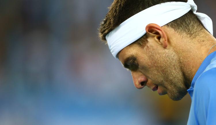 Imagen de ¡Tremenda jugada de Del Potro!